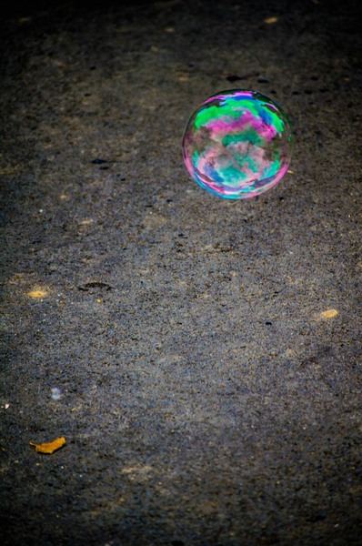 305564_364740540286091_1326069481_n