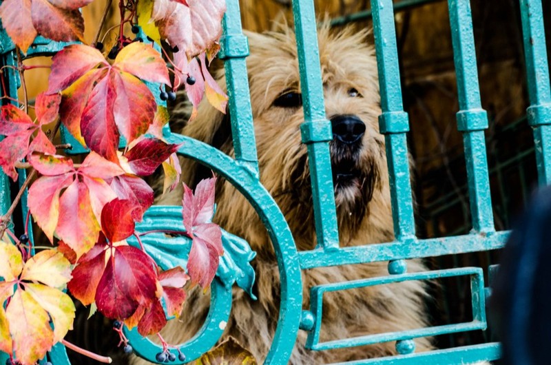 486206_364740216952790_298562096_n