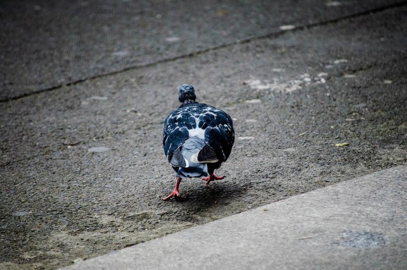 67852_364740586952753_520057562_n