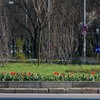20090404_dvrab_21