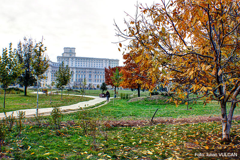 iulian_vulcan_wwwtablouriunicat_03