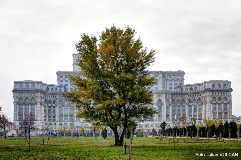 iulian_vulcan_wwwtablouriunicat_04