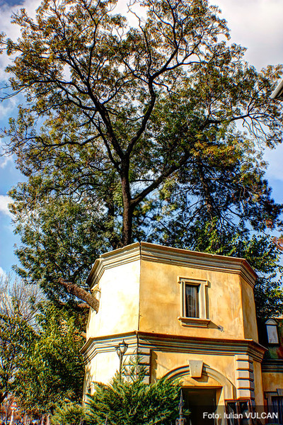 iulian_vulcan_wwwtablouriunicat_05