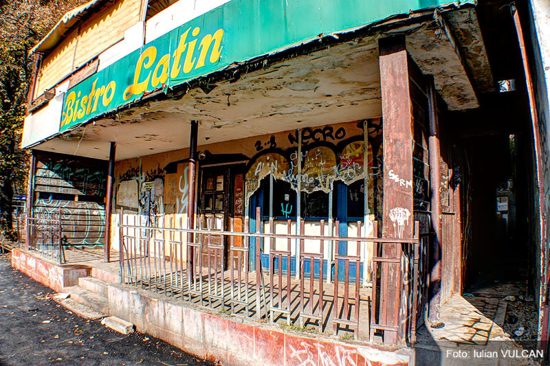 iulian_vulcan_wwwtablouriunicat_07