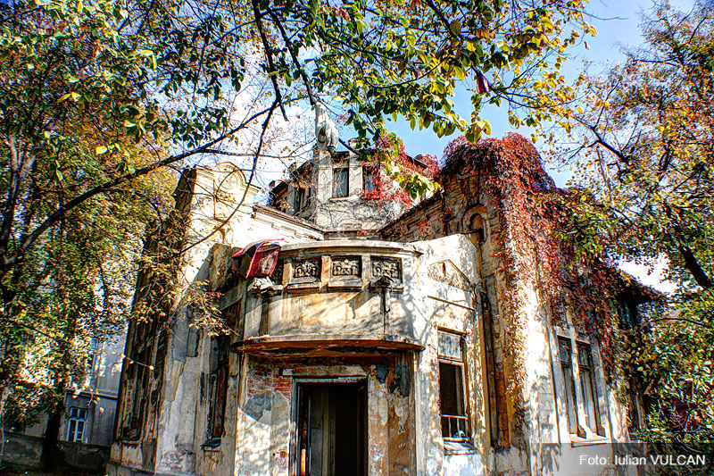 iulian_vulcan_wwwtablouriunicat_09