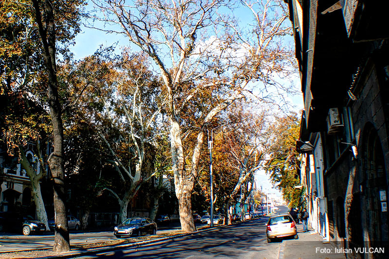 iulian_vulcan_wwwtablouriunicat_15