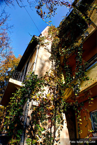 iulian_vulcan_wwwtablouriunicat_18