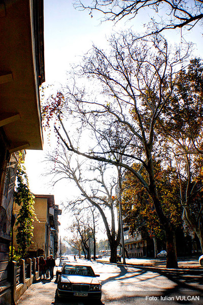 iulian_vulcan_wwwtablouriunicat_19