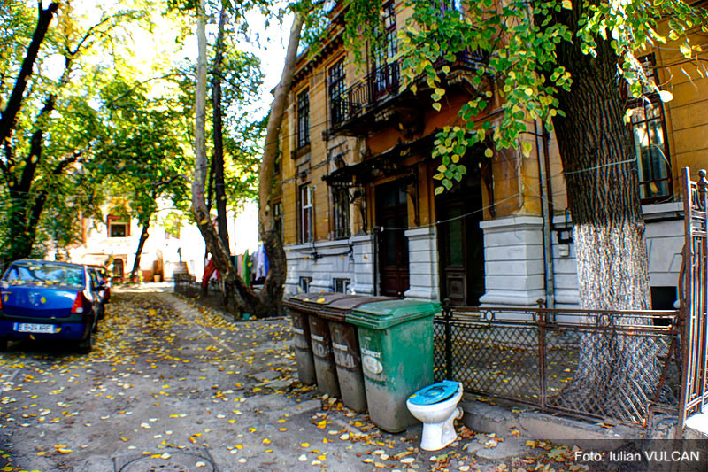 iulian_vulcan_wwwtablouriunicat_20