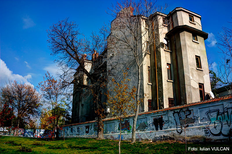 iulian_vulcan_wwwtablouriunicat_26