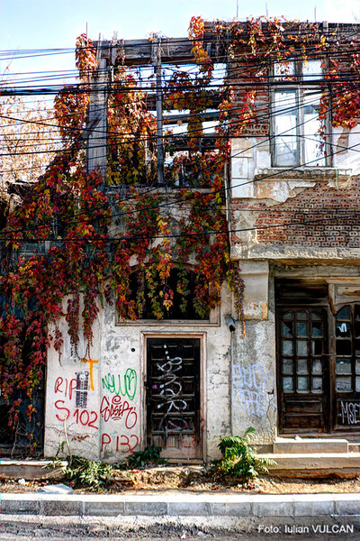 iulian_vulcan_wwwtablouriunicat_27