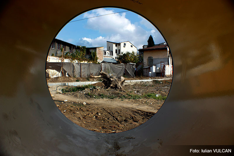 iulian_vulcan_wwwtablouriunicat_36