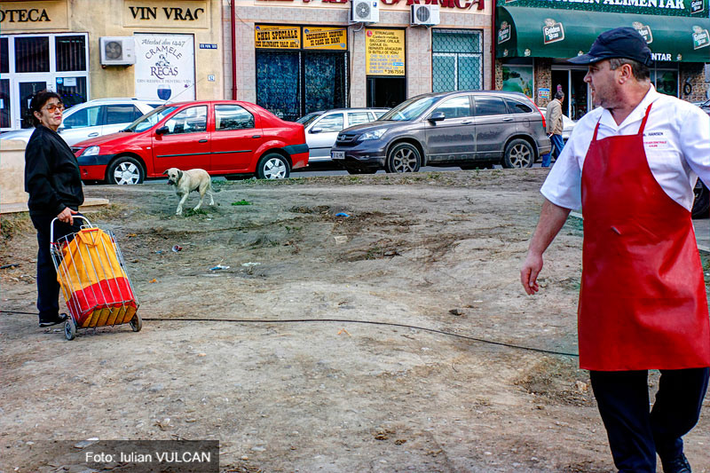 iulian_vulcan_wwwtablouriunicat_41