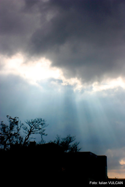 iulian_vulcan_wwwtablouriunicat_52