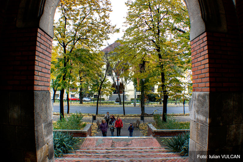 iulian_vulcan_wwwtablouriunicat_61