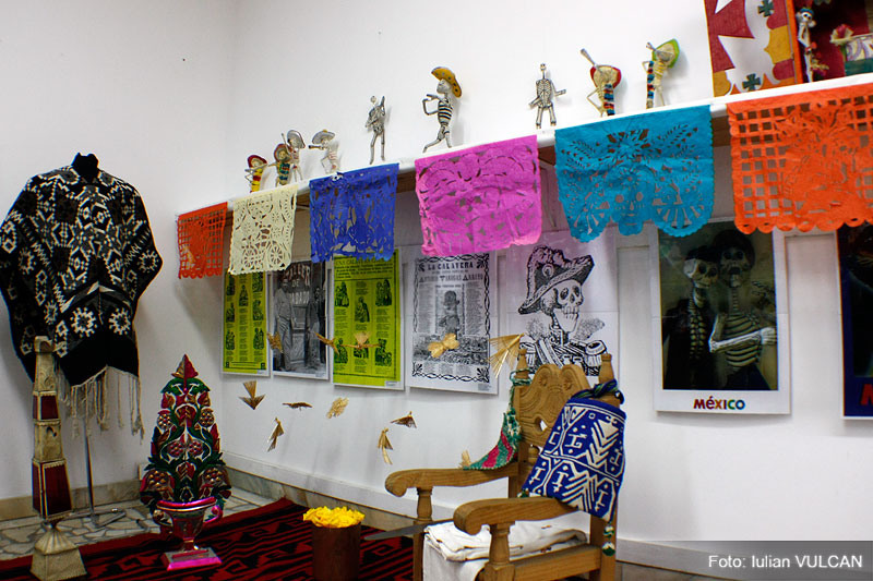 iulian_vulcan_wwwtablouriunicat_64