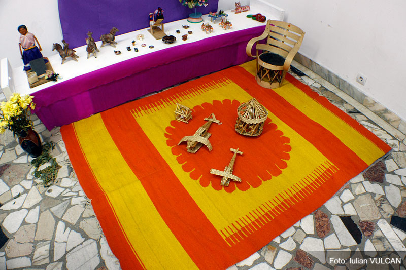 iulian_vulcan_wwwtablouriunicat_65