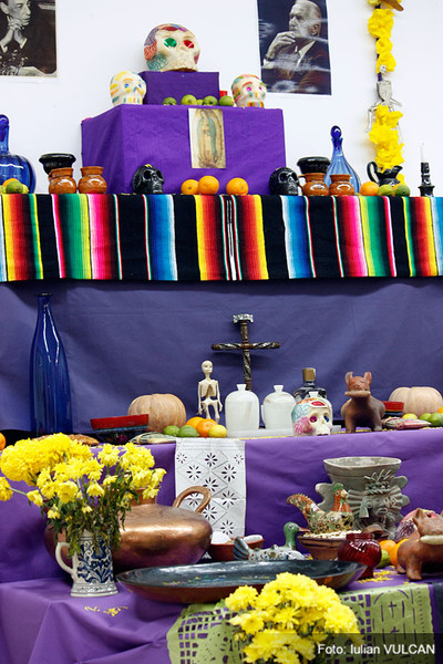 iulian_vulcan_wwwtablouriunicat_68