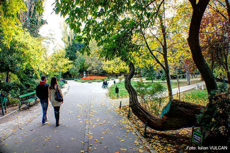 iulian_vulcan_wwwtablouriunicat_74