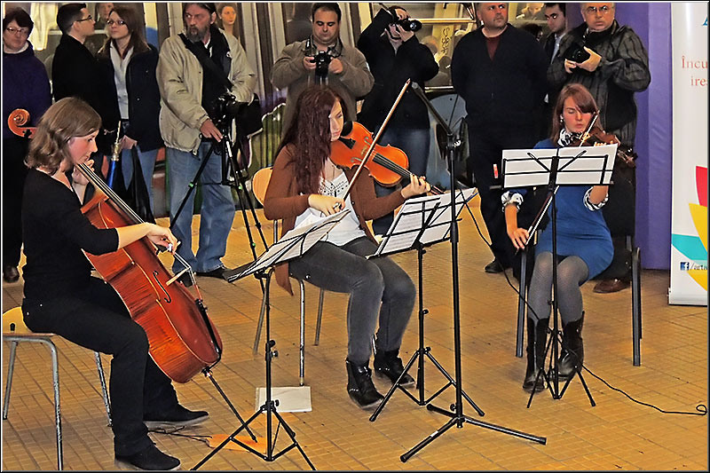 lametrou_serbanvornicu_06