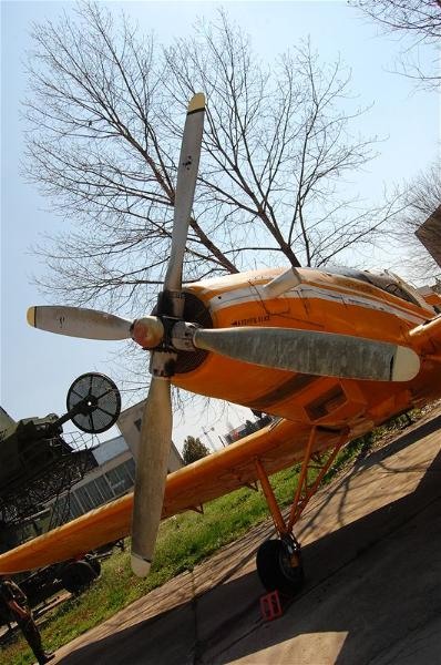 20090404_gmihaila_11