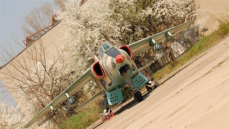 20090404_gmihaila_12