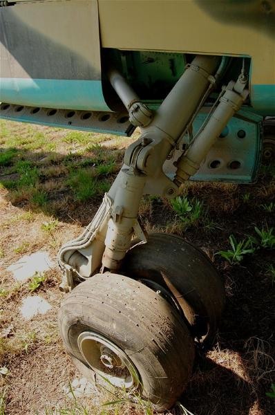 20090404_gmihaila_15