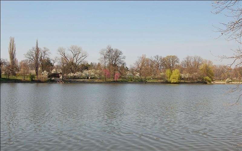 20090404_gmihaila_23