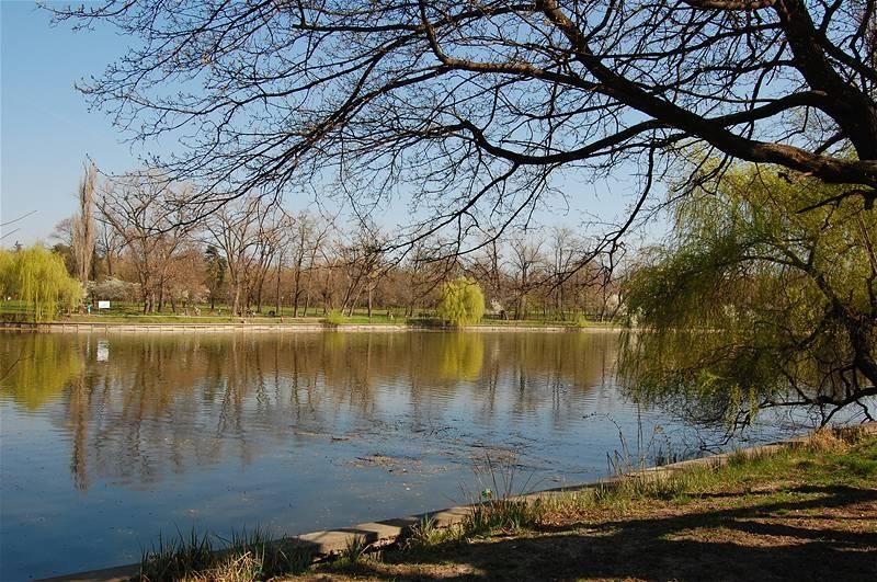 20090404_gmihaila_24