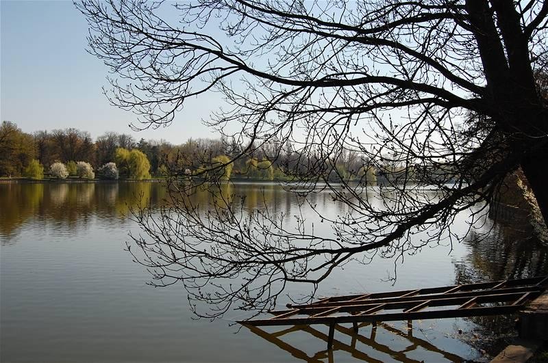 20090404_gmihaila_28