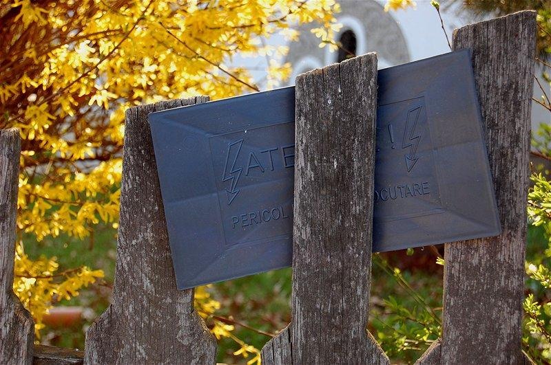 20090404_gmihaila_31