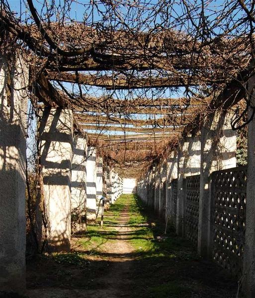 20090404_gmihaila_33