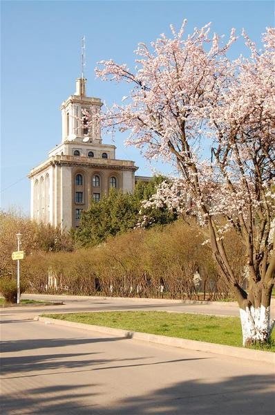 20090404_gmihaila_34