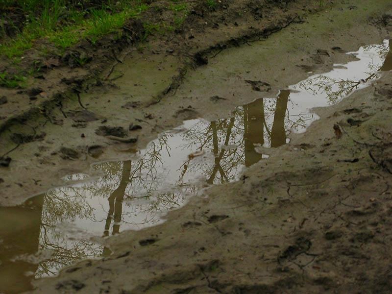 20090425_cmunteanu_02