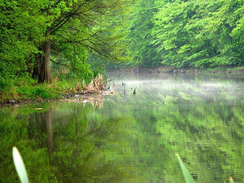 20090425_cmunteanu_03