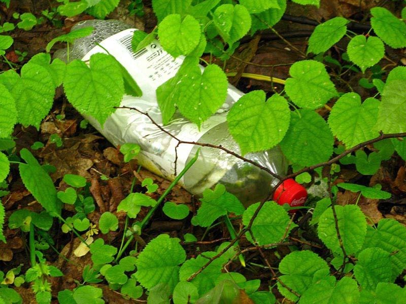 20090425_cmunteanu_05