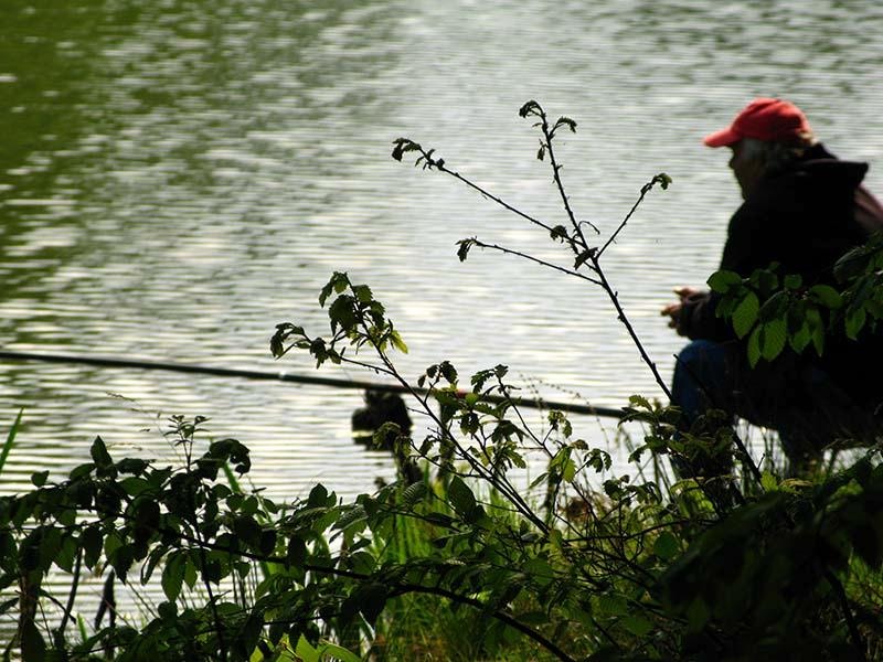 20090425_cmunteanu_07