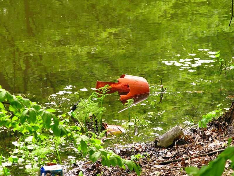 20090425_cmunteanu_09