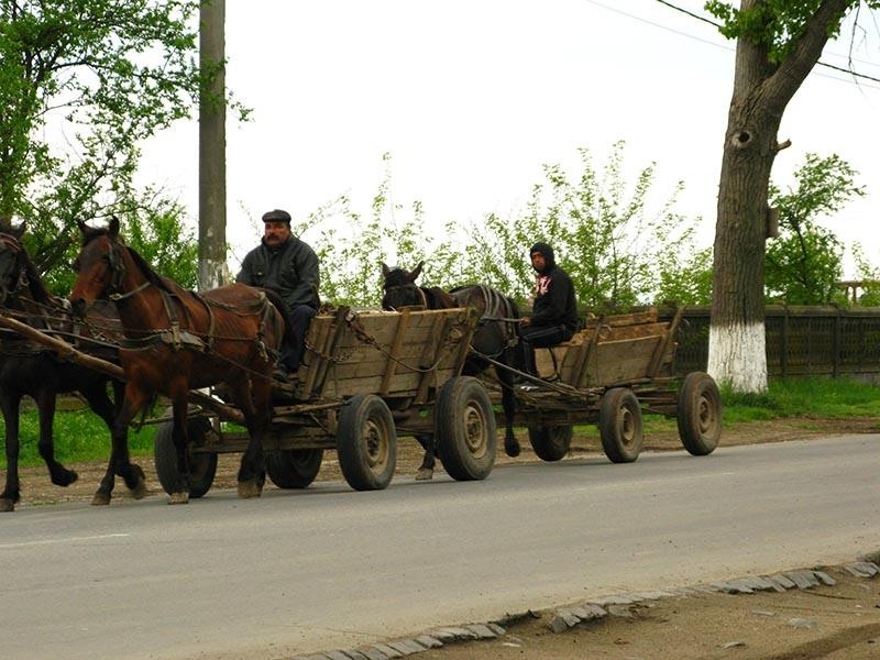 20090425_cmunteanu_10