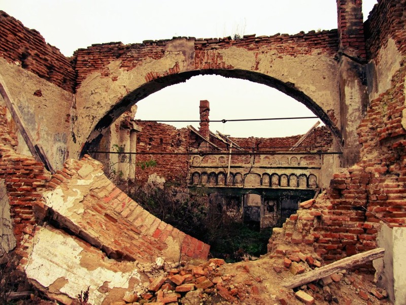 542624_10151185206068250_90353547_n