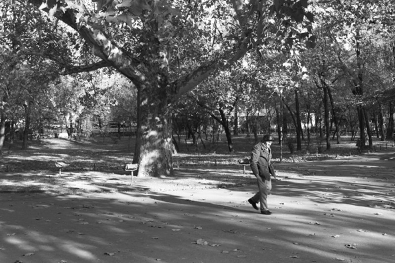 spiridon_1_6363-screen