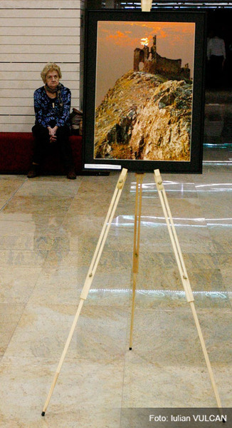 iulian_vulcan_wwwtablouriunicatro_01