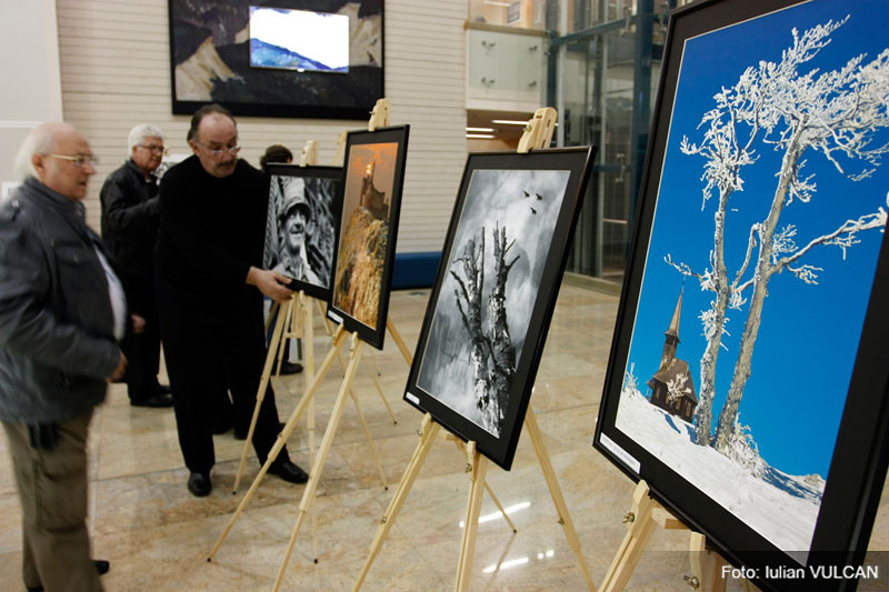 iulian_vulcan_wwwtablouriunicatro_03