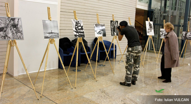 iulian_vulcan_wwwtablouriunicatro_04