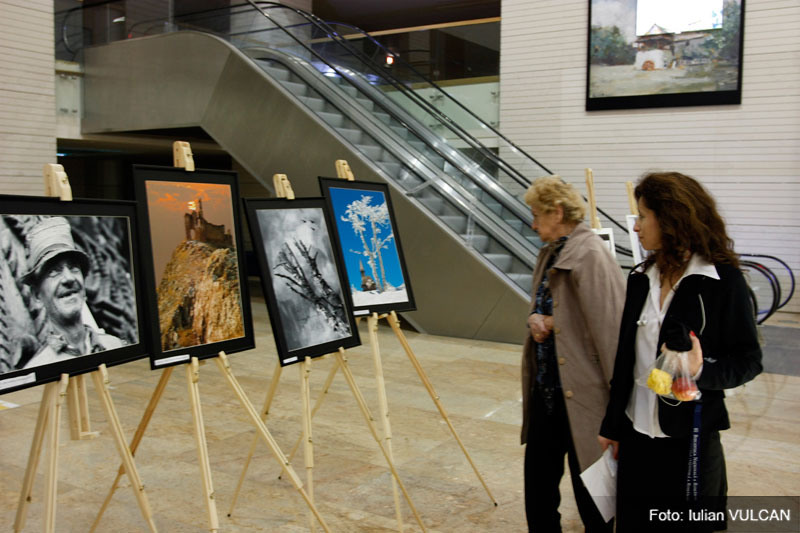 iulian_vulcan_wwwtablouriunicatro_05