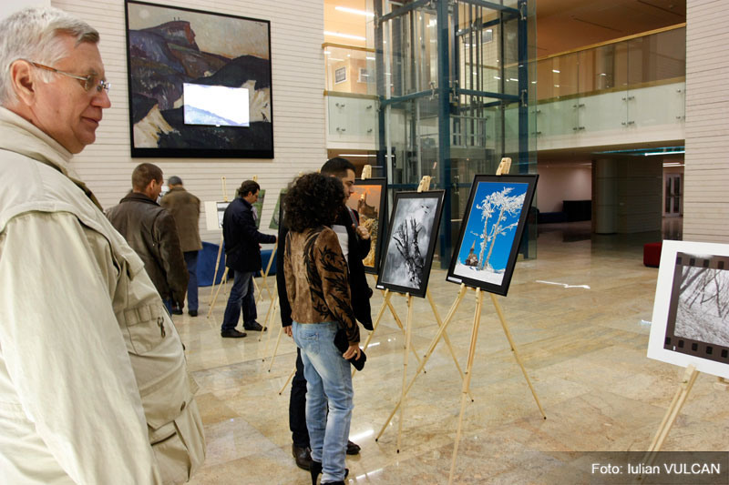 iulian_vulcan_wwwtablouriunicatro_06