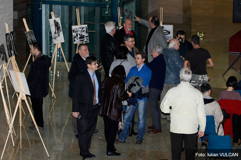 iulian_vulcan_wwwtablouriunicatro_16