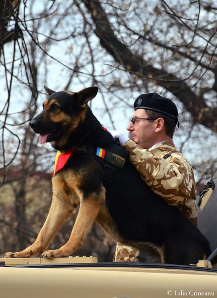 194eb577-20db-4518-8228-7008597e31a6