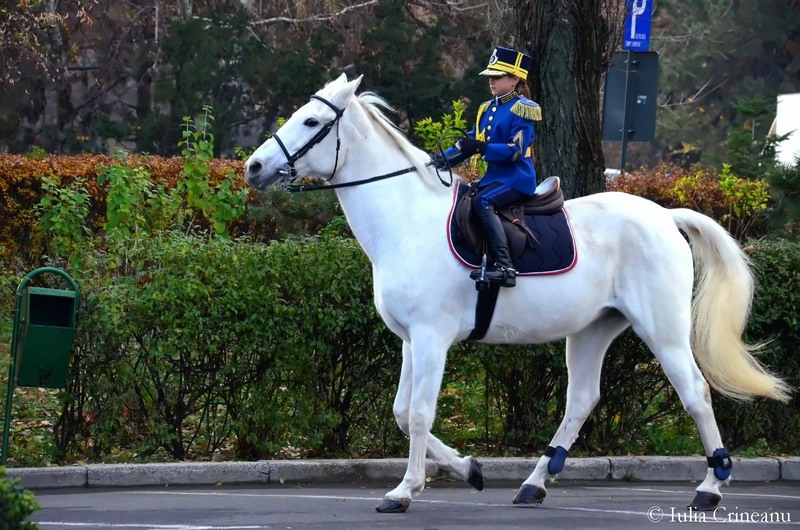 29ea713b-fd30-463b-9ff4-a93dad11c95c