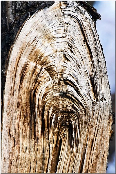 1dec2012_serbanvornicu_03